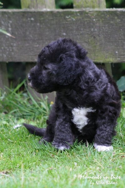 Arc-en-ciel Antares 2009-06-17 (5).JPG